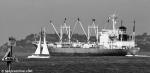 ID 1981 YASUSHIMA (1986/6564grt/IMO 8607464, ex-YASUSHIMA MARU. Renamed FITZROY) outbound from Auckland, NZ.